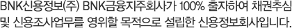 BNK신용정보(주) BNK금융지주회사가 100% 출자하여 채권추심 및 신용조사업무를 영위할 목적으로 설립한 신용정보회사입니다.